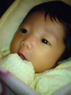 f:id:tokyo-sotai:20080512193621j:image