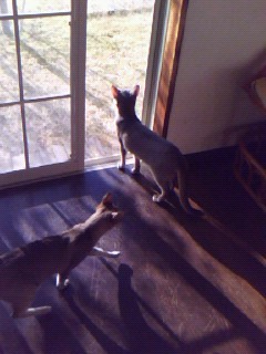 f:id:tokyo_sotai:20090315160004j:image