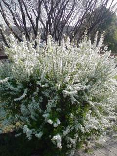 f:id:tokyo_sotai:20090327081716j:image