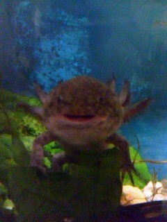 f:id:tokyo_sotai:20090328132638j:image