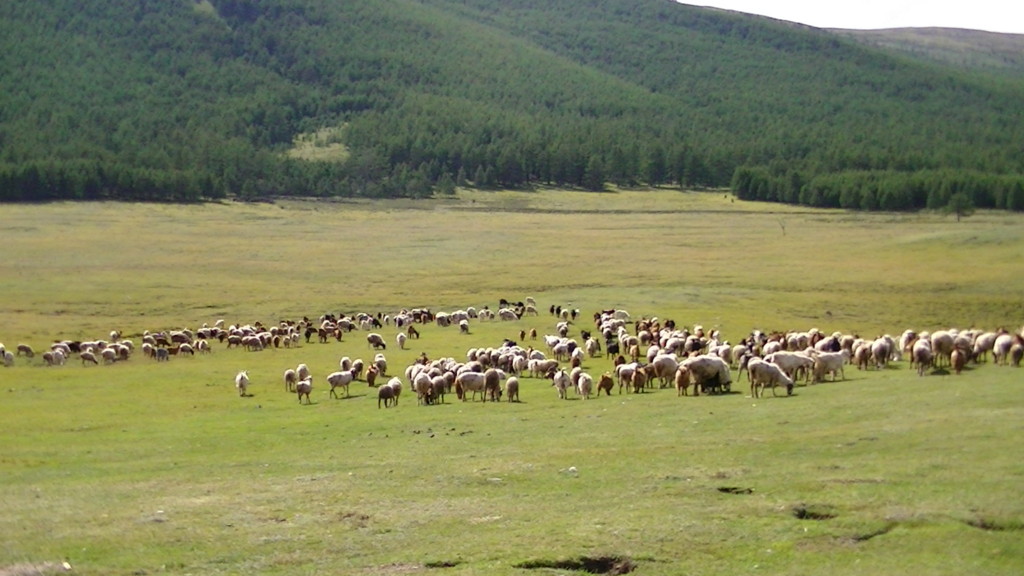 f:id:tokyo_sotai:20110806174725j:plain