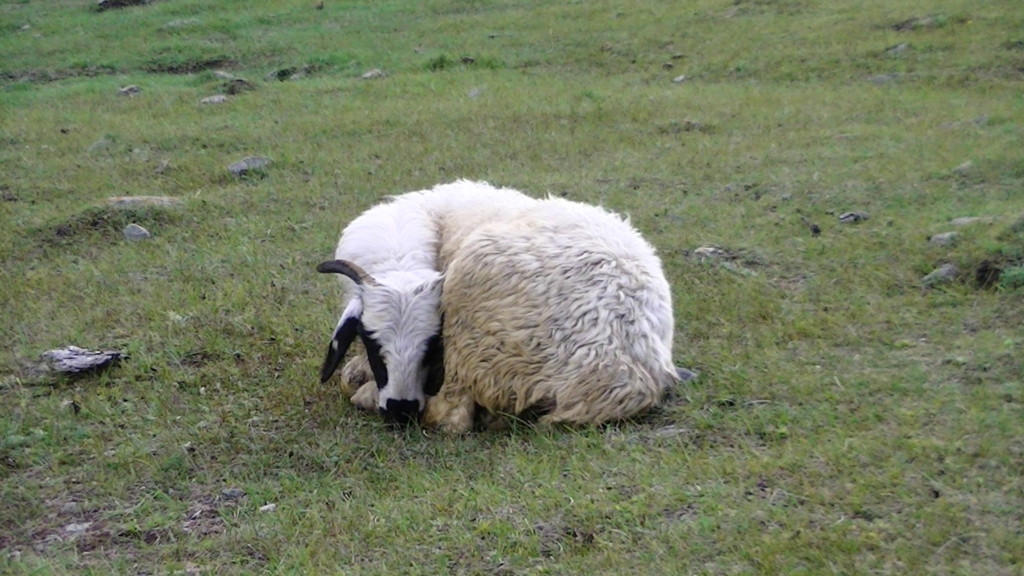 f:id:tokyo_sotai:20110806185157j:plain