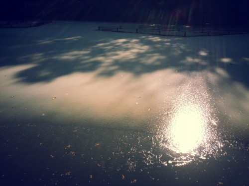 f:id:tokyo_sotai:20130119123637j:image