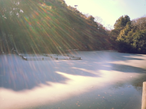 f:id:tokyo_sotai:20130119123648j:image