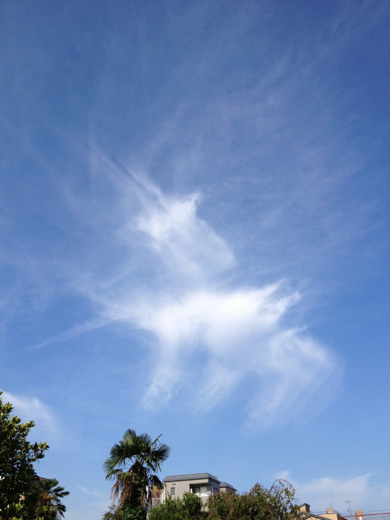 f:id:tokyo_sotai:20130817150223j:plain